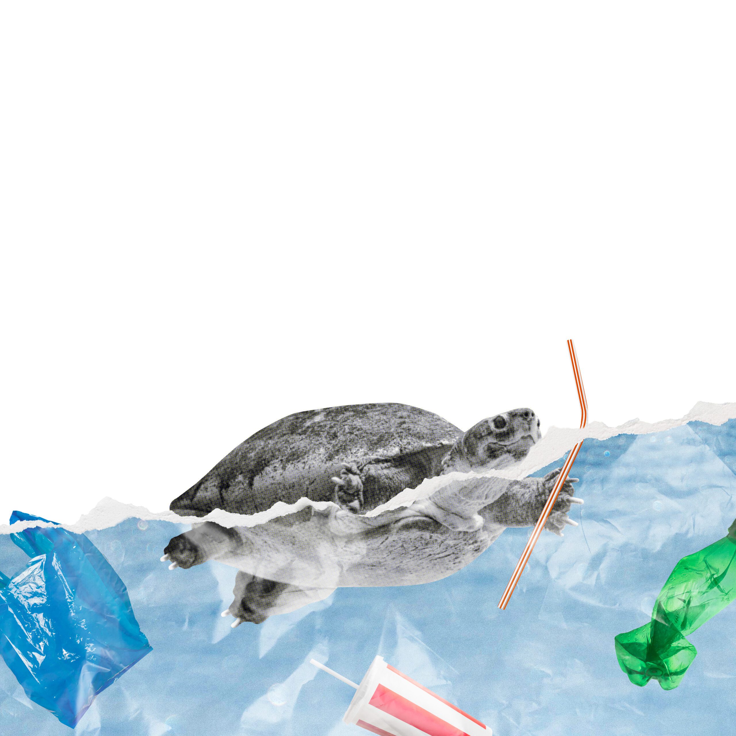 Tortuga marina nadando entre residuos plásticos en el océano, simbolizando el impacto ambiental del plástico de un solo uso